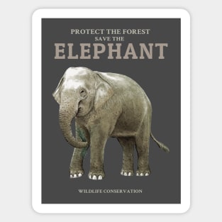 Save the Elephant Protect the Forest Sticker